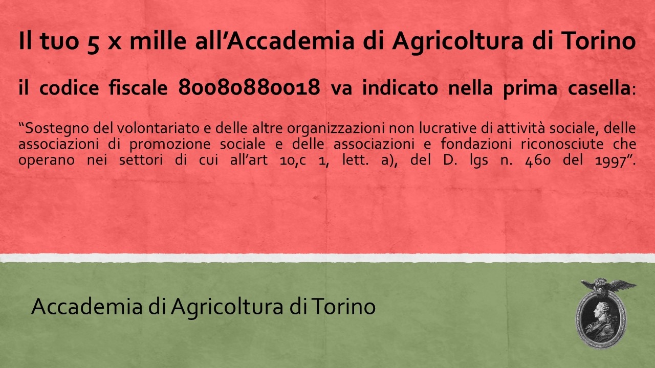 5 x 1000 accademia