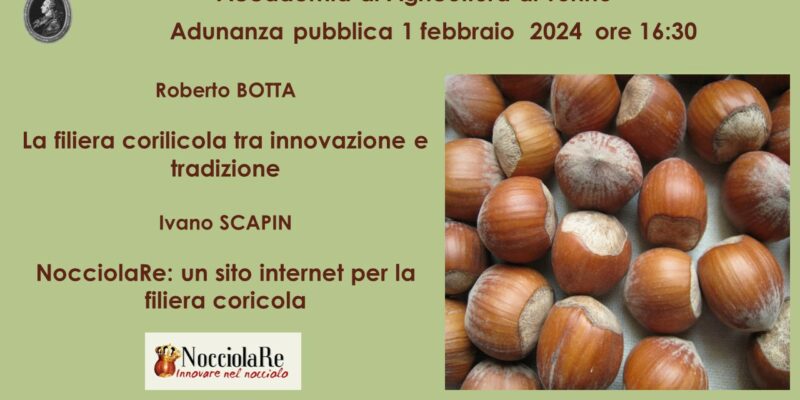 nocciola