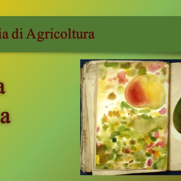 pasqua 2025