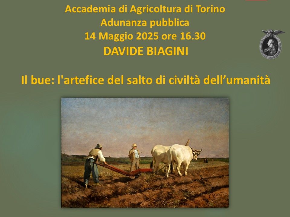 biagini