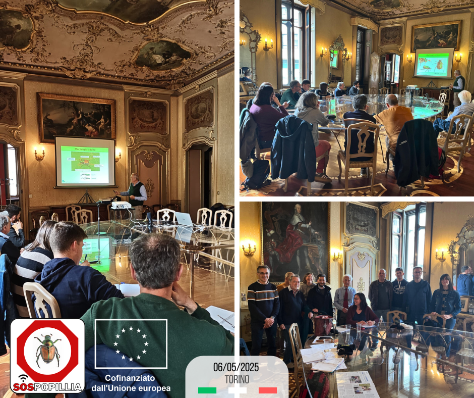 Foto da attività del progetto europeo Erasmus+ «SOS Popillia»