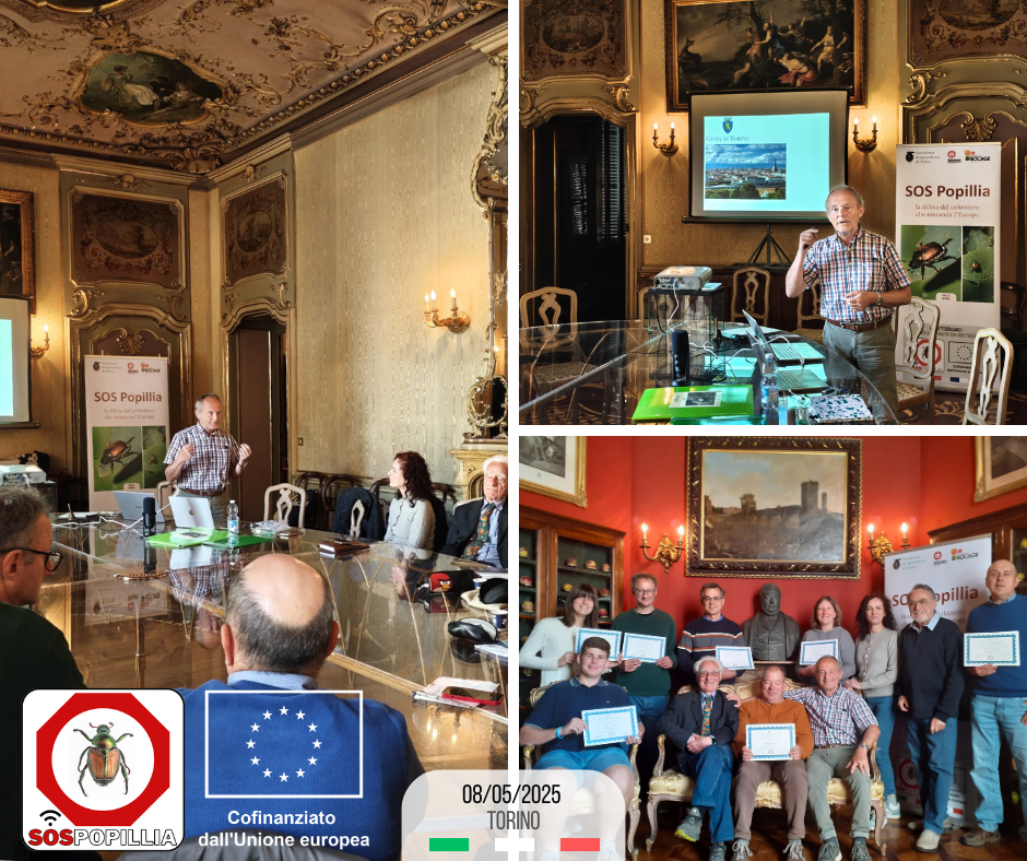 Foto da attività del progetto europeo Erasmus+ «SOS Popillia»