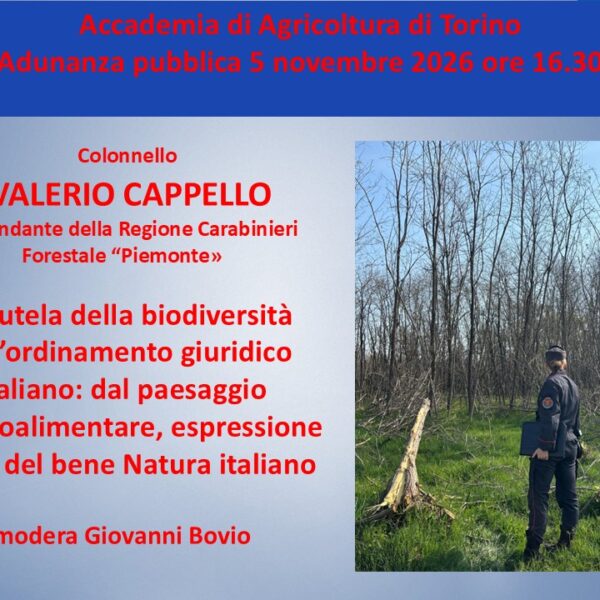 Adunanza pubblica 5 novembre Valerio Cappello